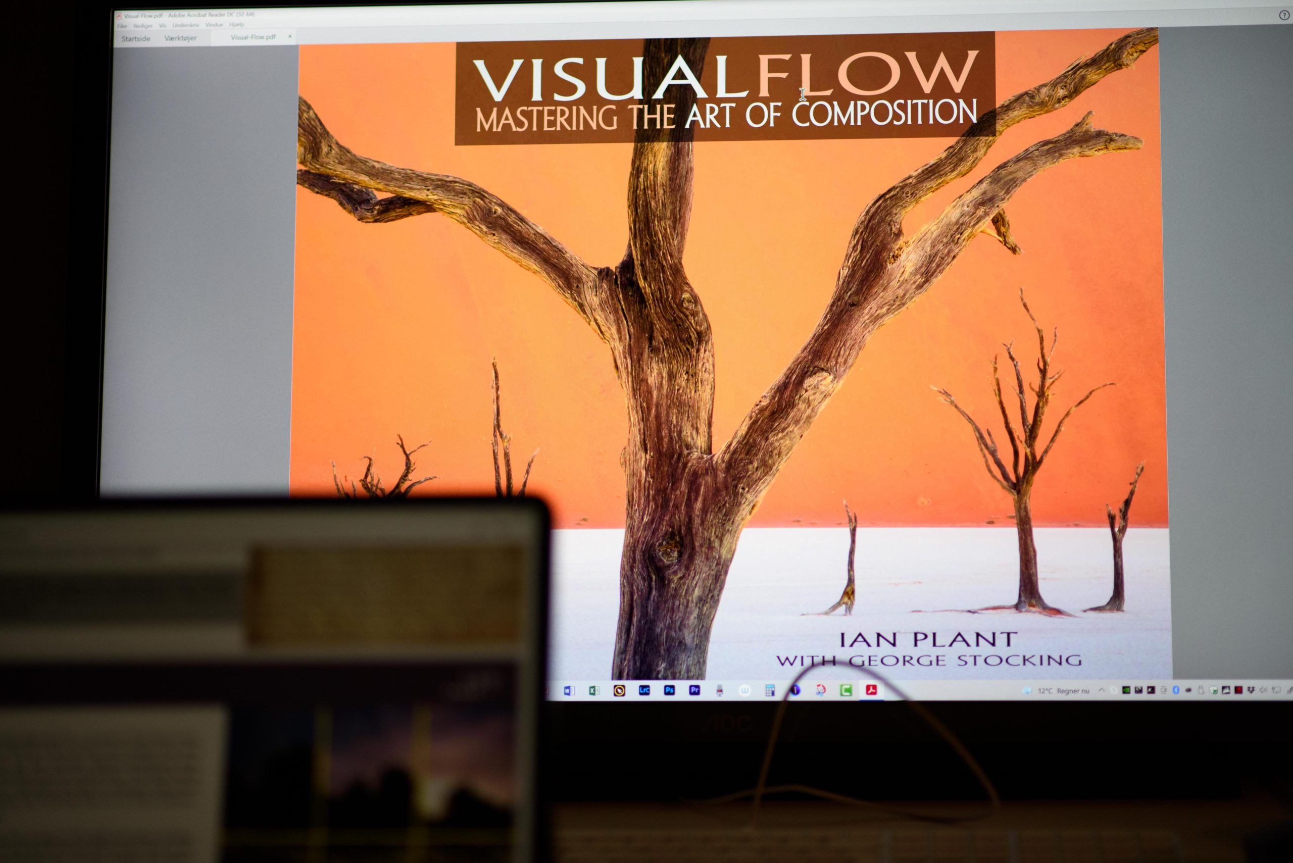 Visual flow, mastering the art of composition, by Ian Plant w/George Stocking