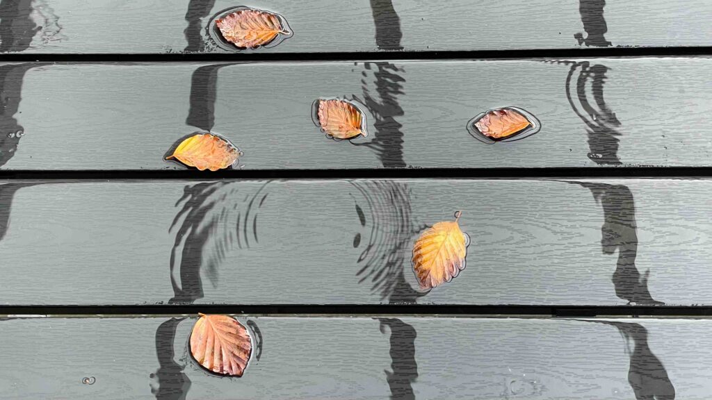 Leaves on a wet table.