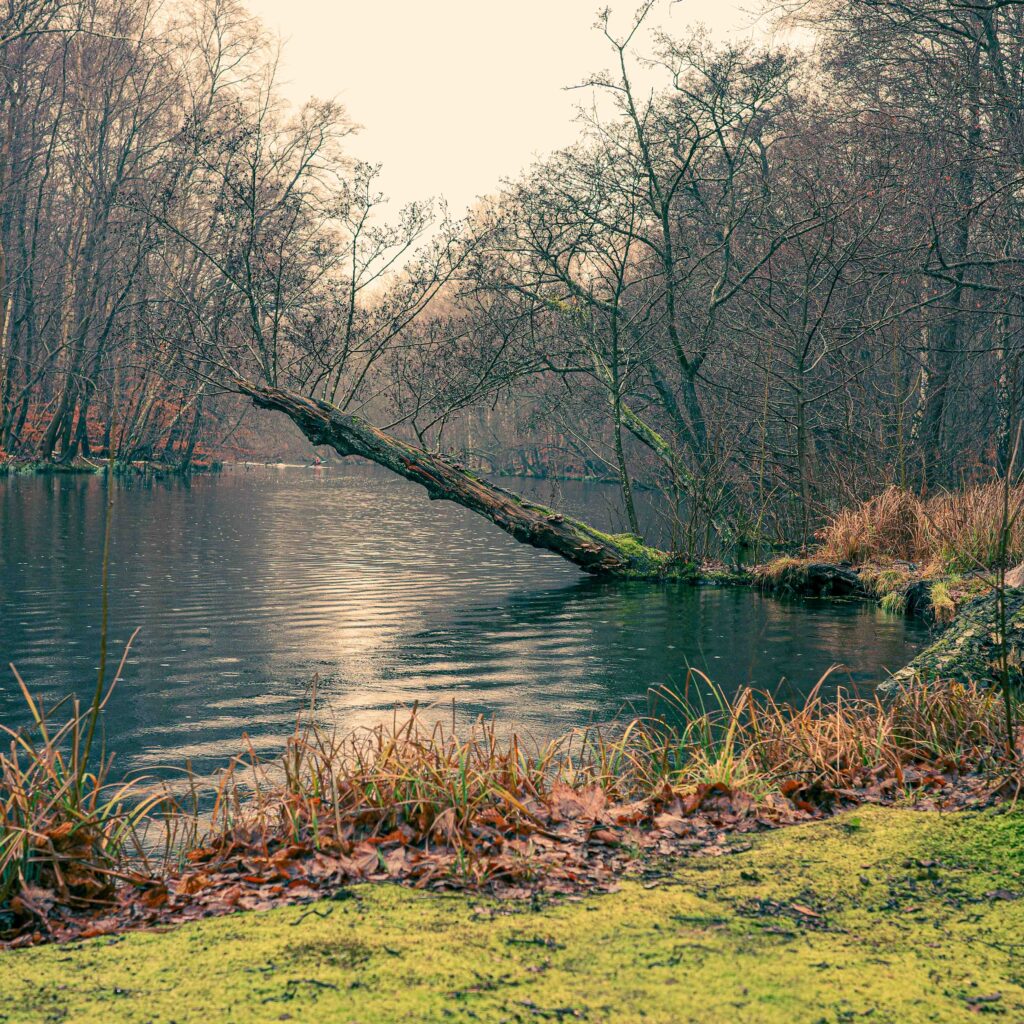 Foreground attraction in photography